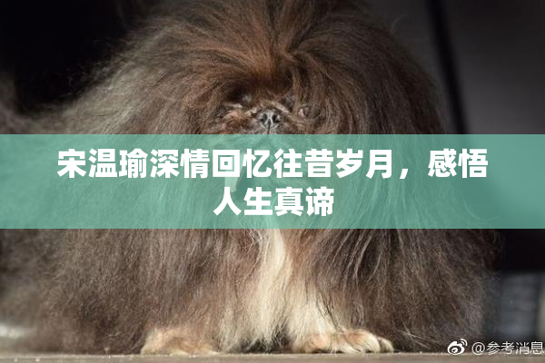 宋温瑜深情回忆往昔岁月，感悟人生真谛