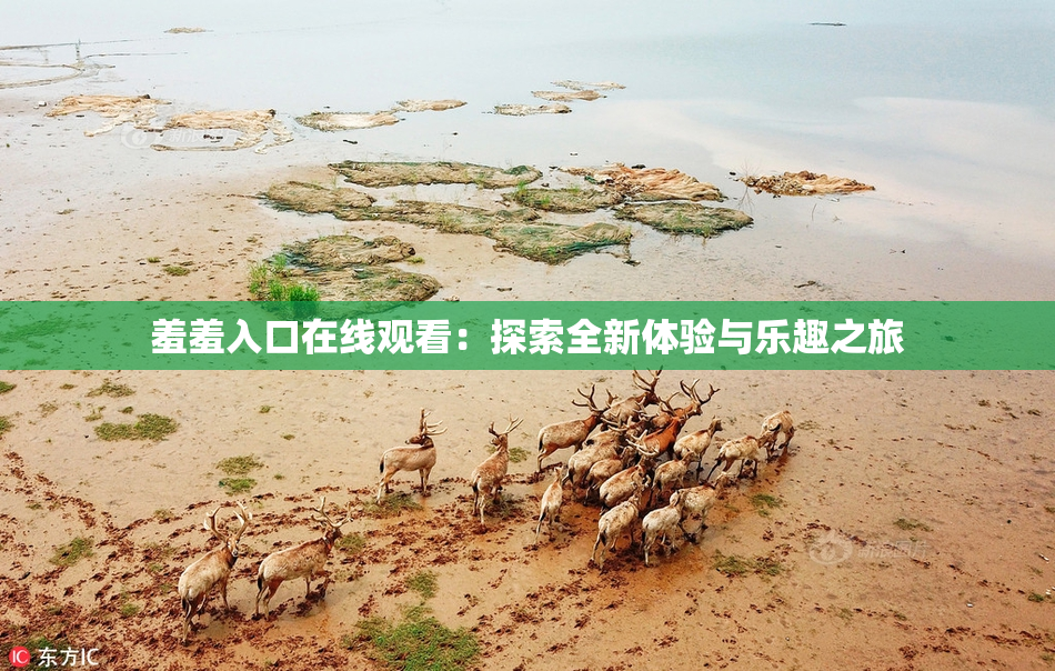 羞羞入口在线观看：探索全新体验与乐趣之旅