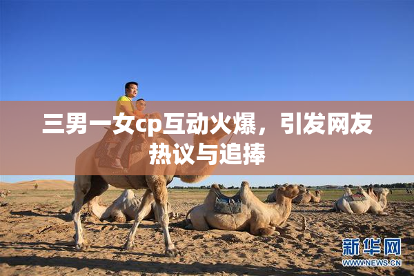 三男一女cp互动火爆，引发网友热议与追捧
