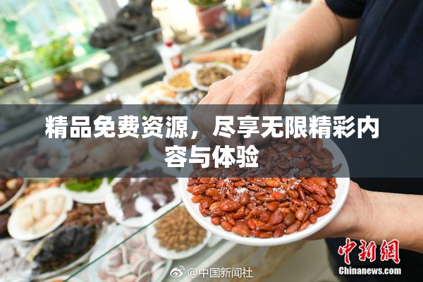 精品免费资源，尽享无限精彩内容与体验