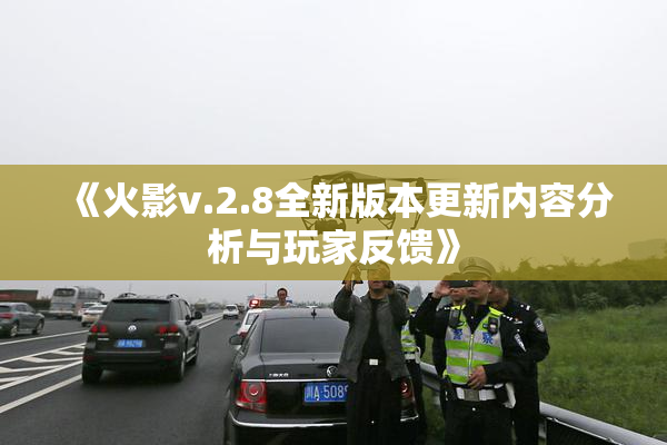 《火影v.2.8全新版本更新内容分析与玩家反馈》