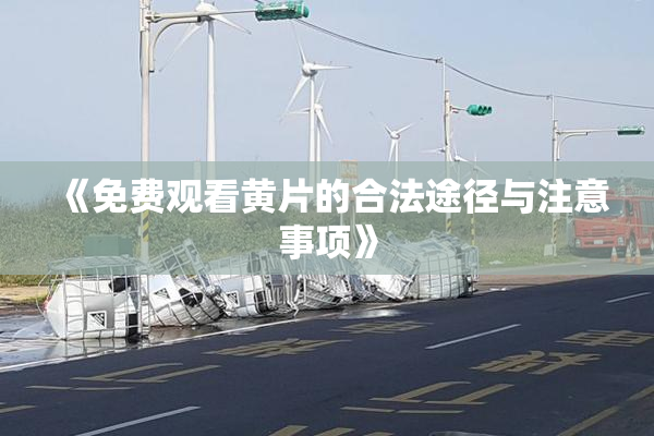 《免费观看黄片的合法途径与注意事项》