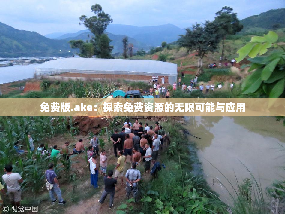 免费版.ake：探索免费资源的无限可能与应用