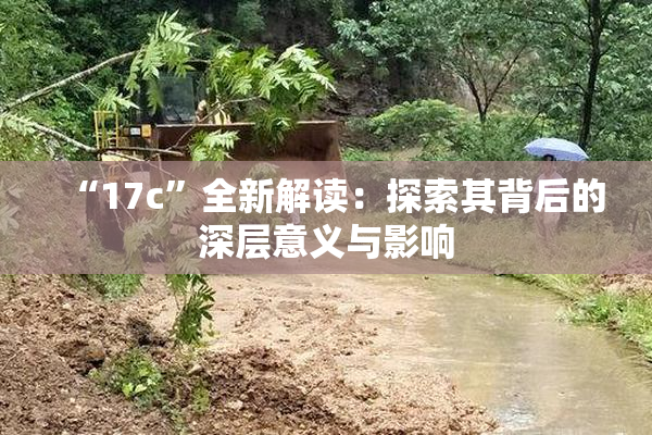 “17c”全新解读：探索其背后的深层意义与影响