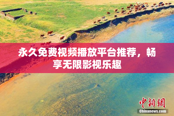 永久免费视频播放平台推荐，畅享无限影视乐趣