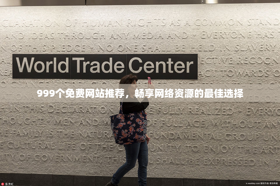 999个免费网站推荐，畅享网络资源的最佳选择