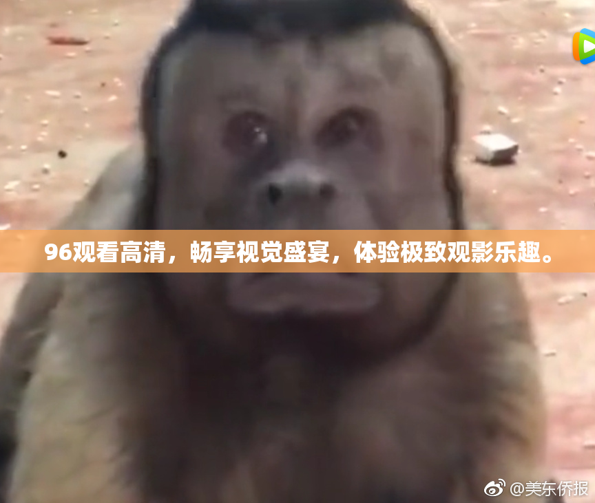96观看高清，畅享视觉盛宴，体验极致观影乐趣。