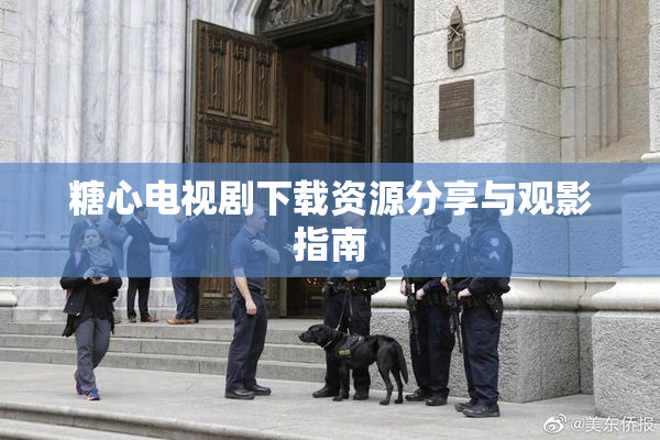 糖心电视剧下载资源分享与观影指南