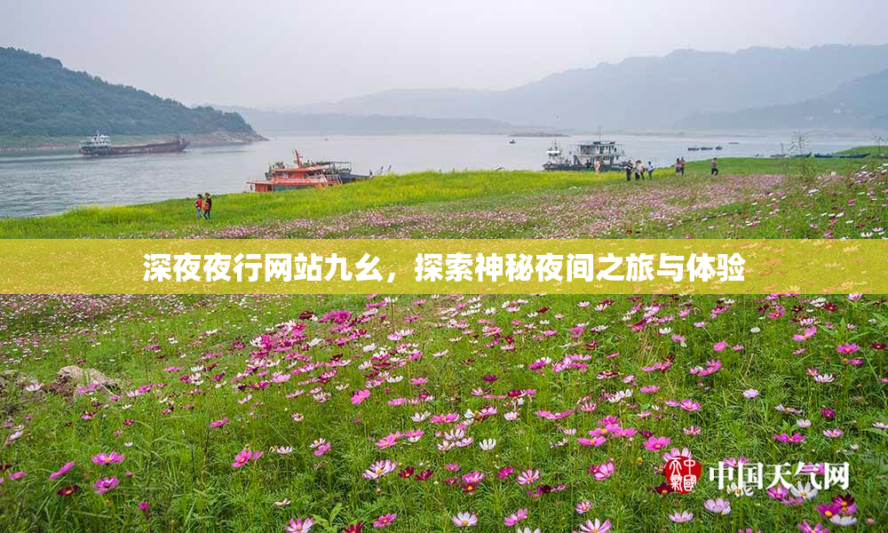深夜夜行网站九幺，探索神秘夜间之旅与体验