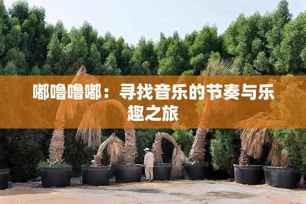嘟噜噜嘟：寻找音乐的节奏与乐趣之旅