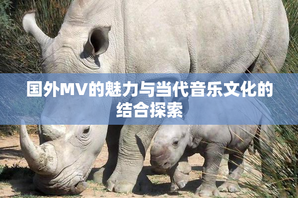 国外MV的魅力与当代音乐文化的结合探索
