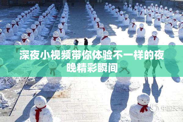 深夜小视频带你体验不一样的夜晚精彩瞬间