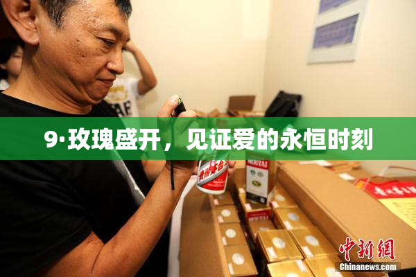 9·玫瑰盛开，见证爱的永恒时刻