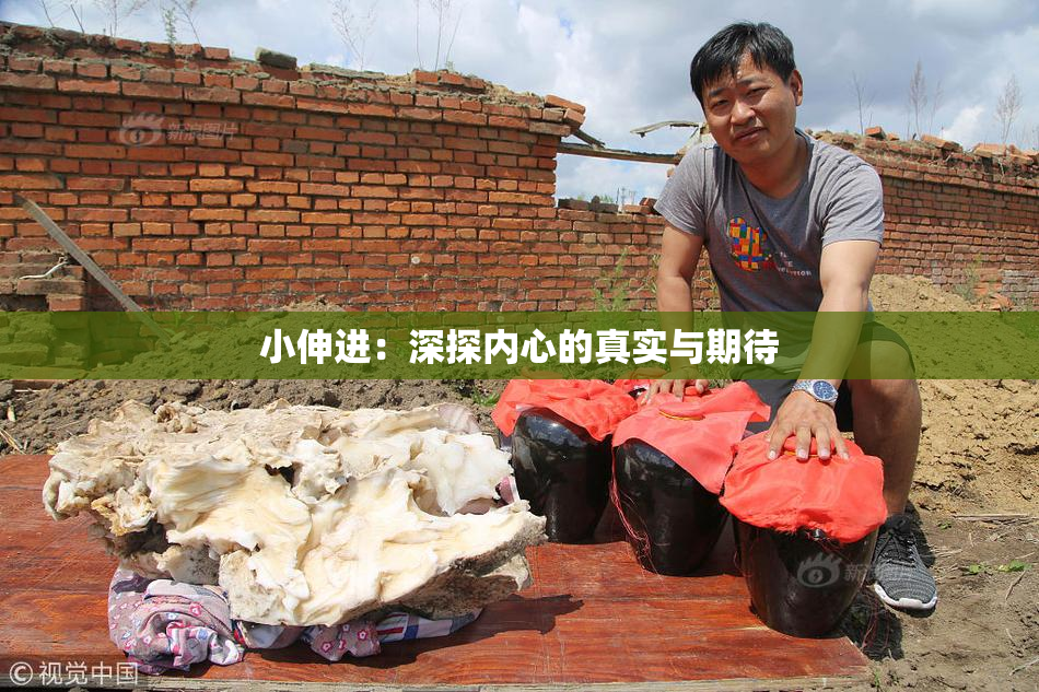 小伸进：深探内心的真实与期待