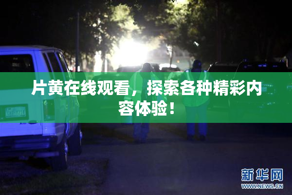 片黄在线观看，探索各种精彩内容体验！