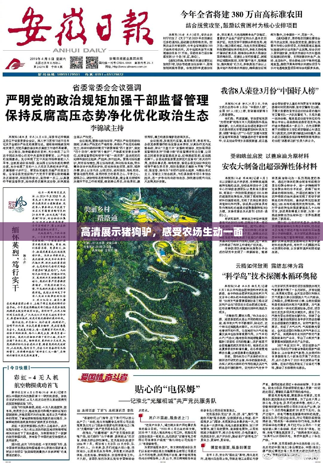 高清展示猪狗驴，感受农场生动一面
