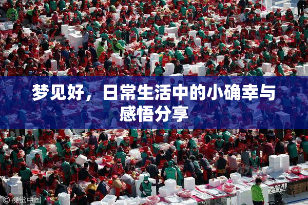 梦见好，日常生活中的小确幸与感悟分享