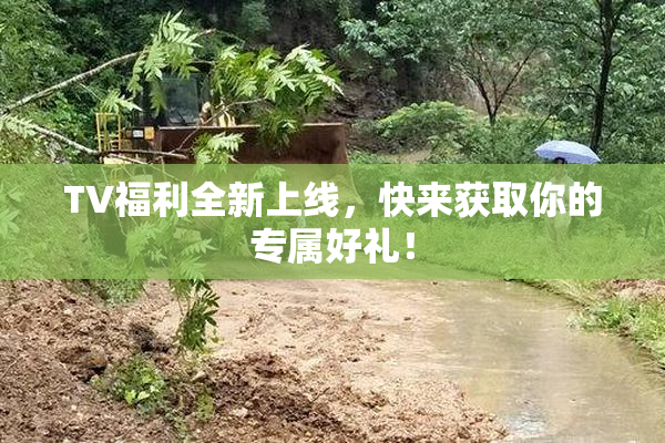 TV福利全新上线，快来获取你的专属好礼！