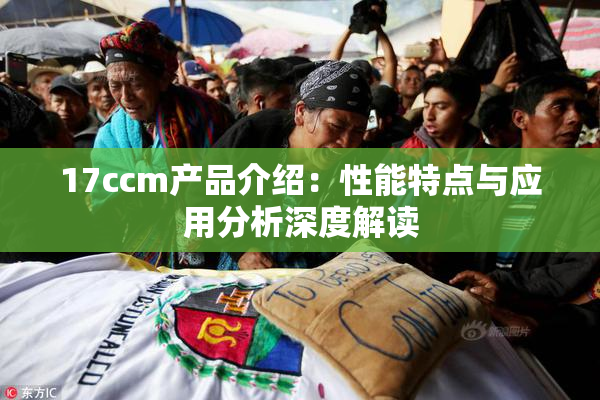 17ccm产品介绍：性能特点与应用分析深度解读