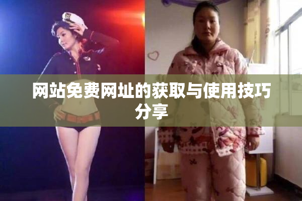 网站免费网址的获取与使用技巧分享