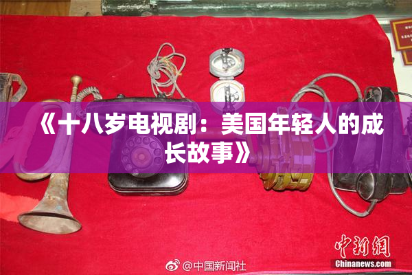 《十八岁电视剧：美国年轻人的成长故事》