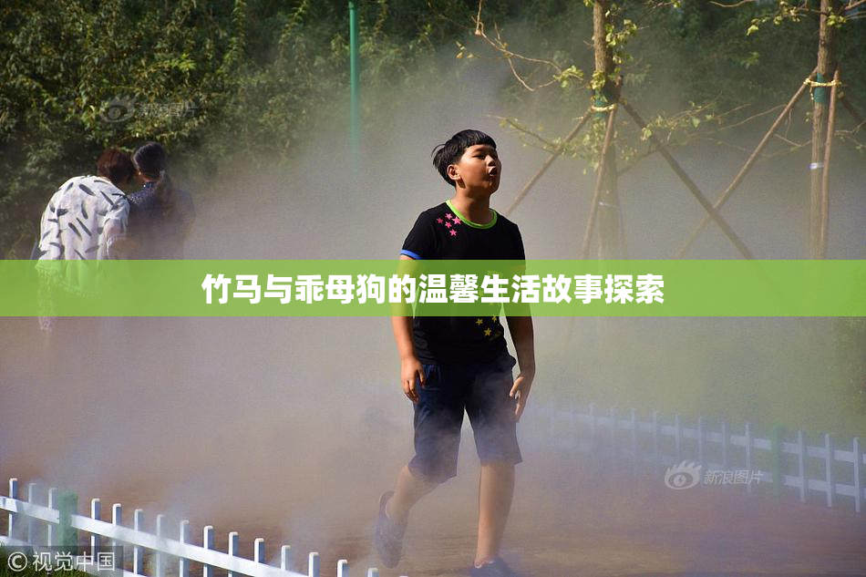 竹马与乖母狗的温馨生活故事探索