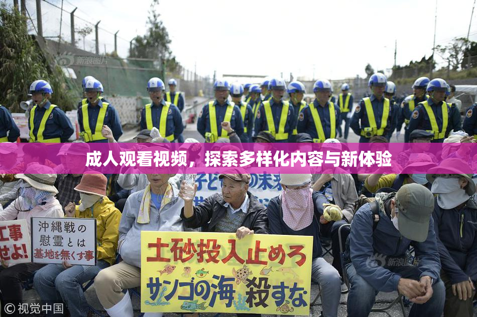成人观看视频，探索多样化内容与新体验