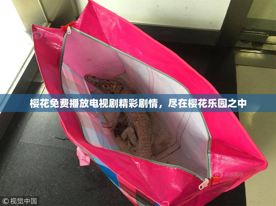 樱花免费播放电视剧精彩剧情，尽在樱花乐园之中