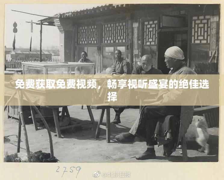 免费获取免费视频，畅享视听盛宴的绝佳选择