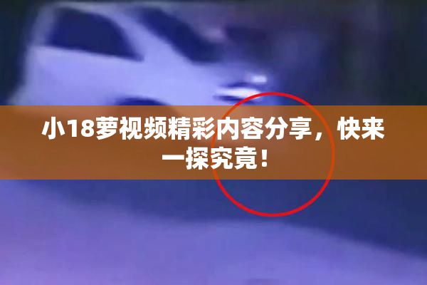 小18萝视频精彩内容分享，快来一探究竟！
