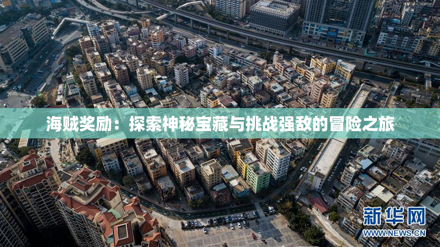 海贼奖励：探索神秘宝藏与挑战强敌的冒险之旅