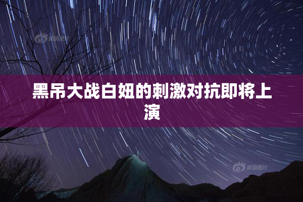 黑吊大战白妞的刺激对抗即将上演