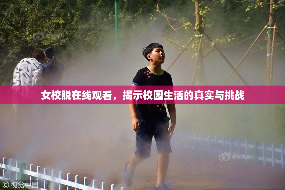 女校脱在线观看，揭示校园生活的真实与挑战