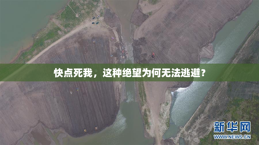 快点死我，这种绝望为何无法逃避？