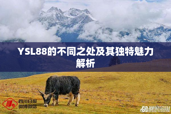 YSL88的不同之处及其独特魅力解析