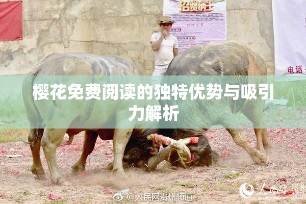 樱花免费阅读的独特优势与吸引力解析
