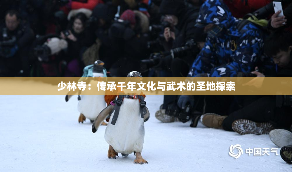 少林寺：传承千年文化与武术的圣地探索