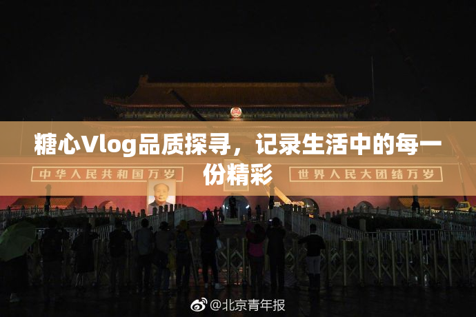 糖心Vlog品质探寻，记录生活中的每一份精彩