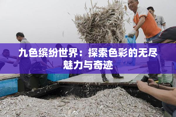 九色缤纷世界：探索色彩的无尽魅力与奇迹
