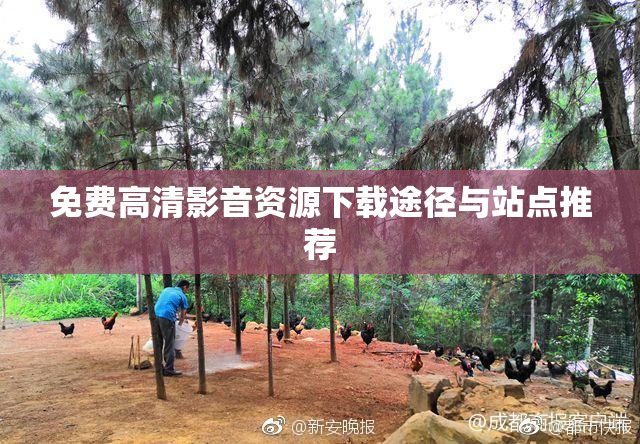 免费高清影音资源下载途径与站点推荐