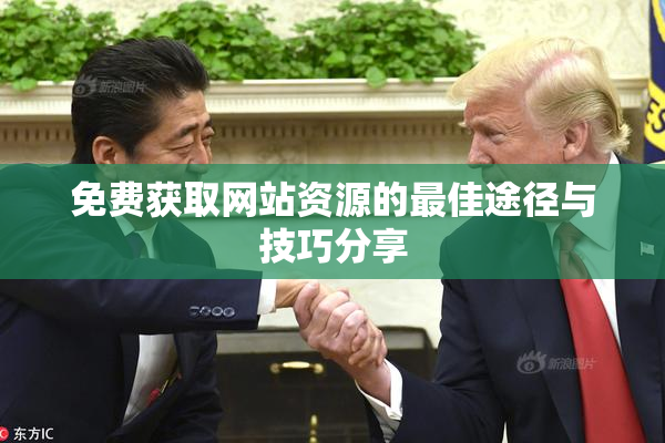 免费获取网站资源的最佳途径与技巧分享