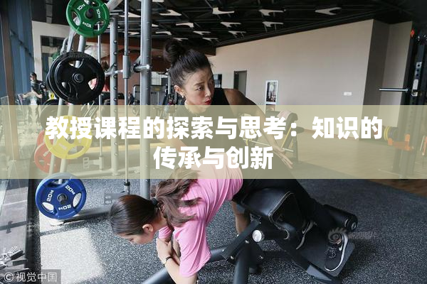 教授课程的探索与思考：知识的传承与创新