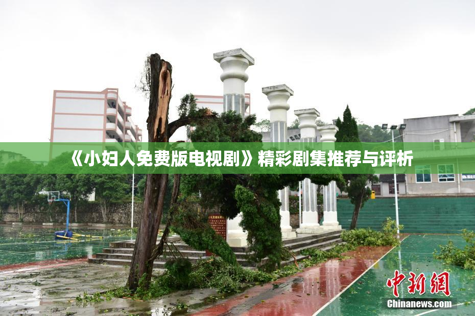 《小妇人免费版电视剧》精彩剧集推荐与评析