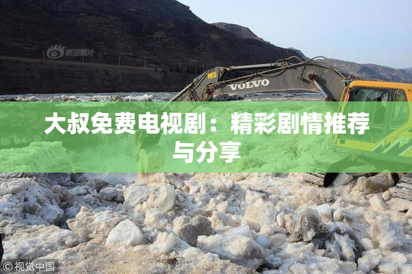 大叔免费电视剧：精彩剧情推荐与分享