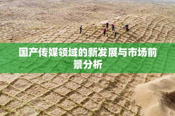 国产传媒领域的新发展与市场前景分析