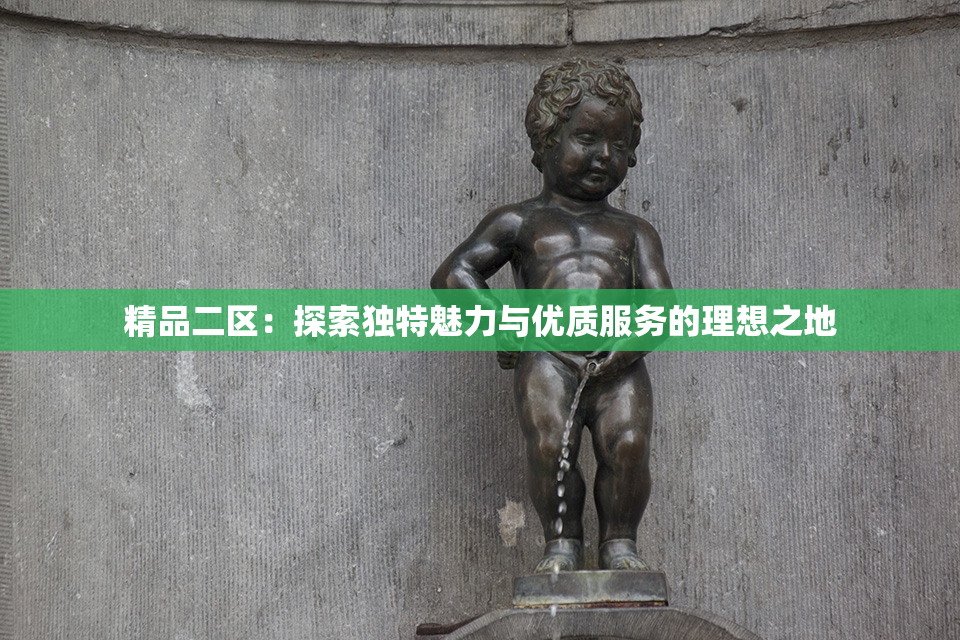 精品二区：探索独特魅力与优质服务的理想之地