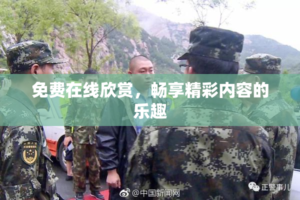 免费在线欣赏，畅享精彩内容的乐趣