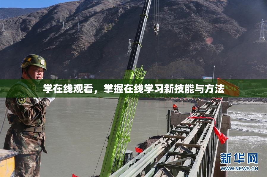 学在线观看，掌握在线学习新技能与方法