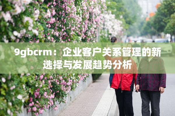 9gbcrm：企业客户关系管理的新选择与发展趋势分析