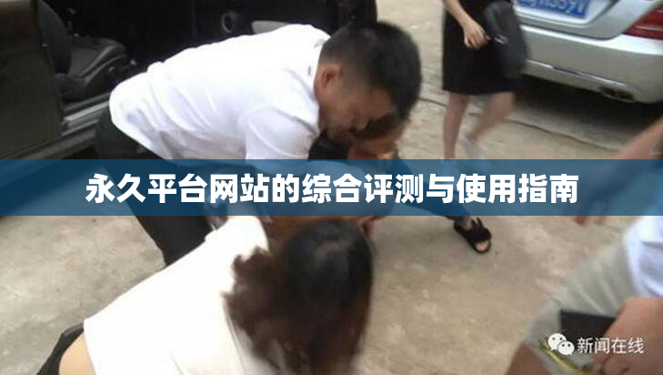 永久平台网站的综合评测与使用指南